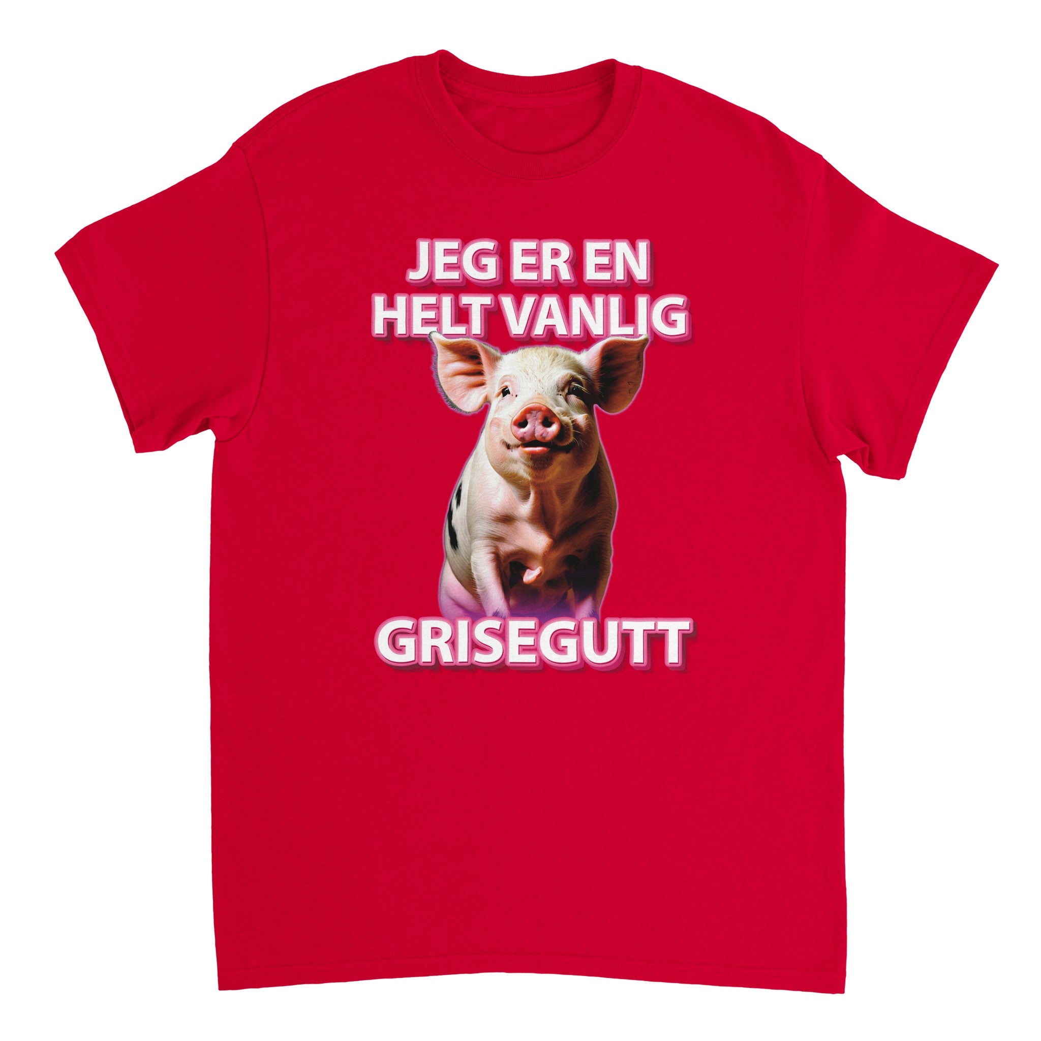 En Helt Vanlig Grisegutt