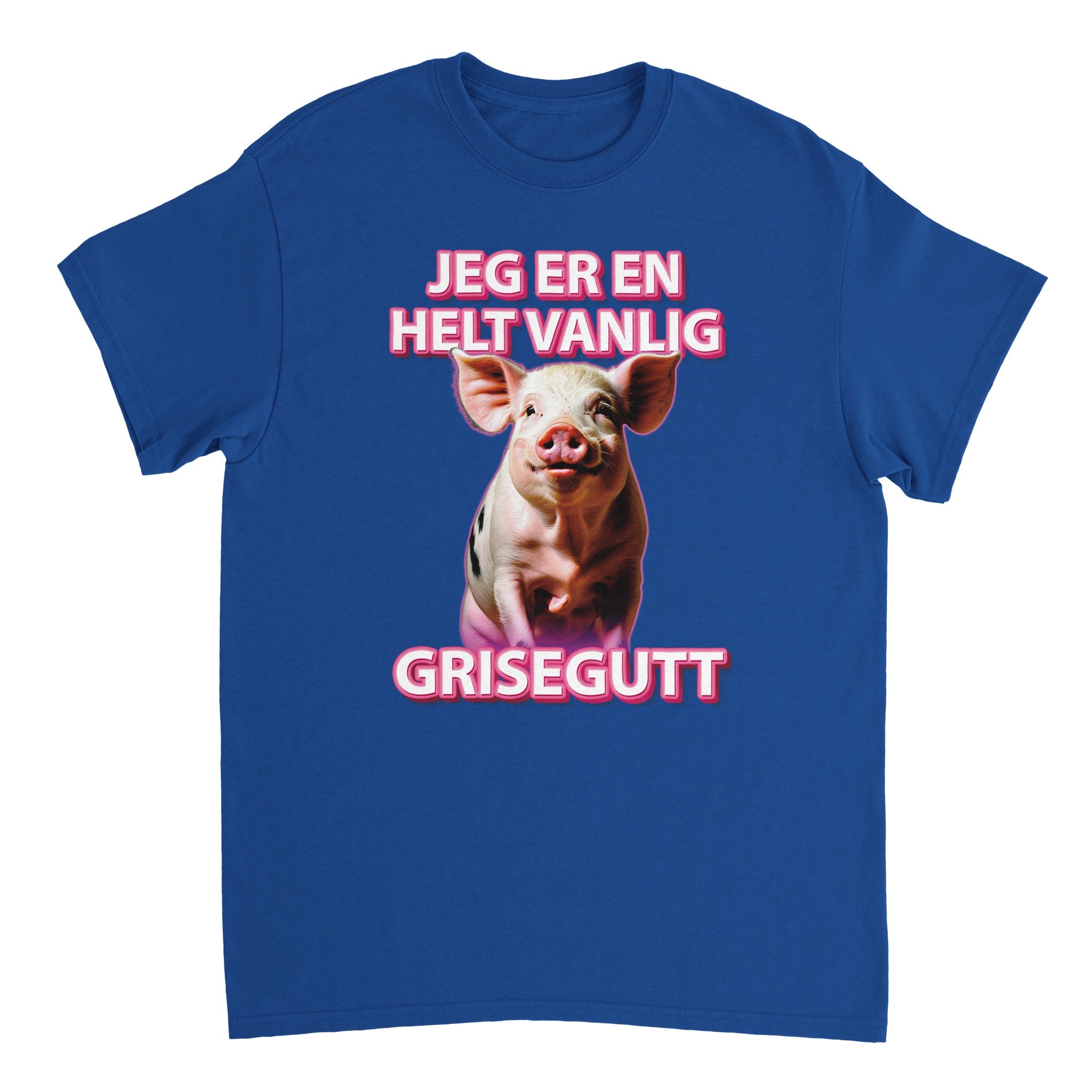 En Helt Vanlig Grisegutt